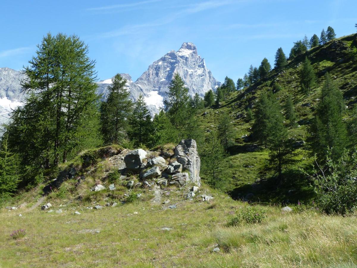 شقة Le Petit Refuge Cervinia بيريوِل تْشيرفينيا المظهر الخارجي الصورة