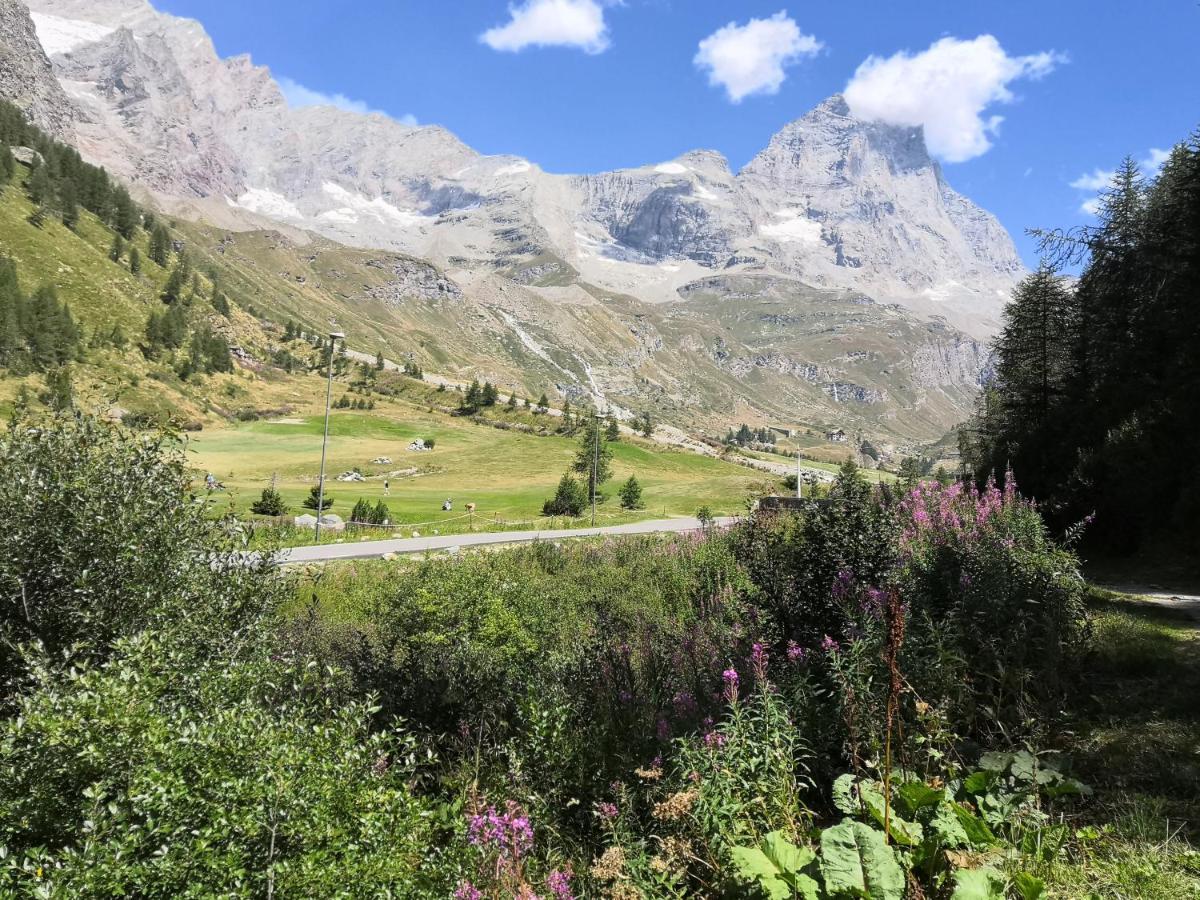شقة Le Petit Refuge Cervinia بيريوِل تْشيرفينيا المظهر الخارجي الصورة