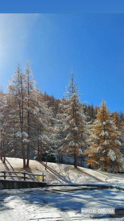 شقة Le Petit Refuge Cervinia بيريوِل تْشيرفينيا المظهر الخارجي الصورة