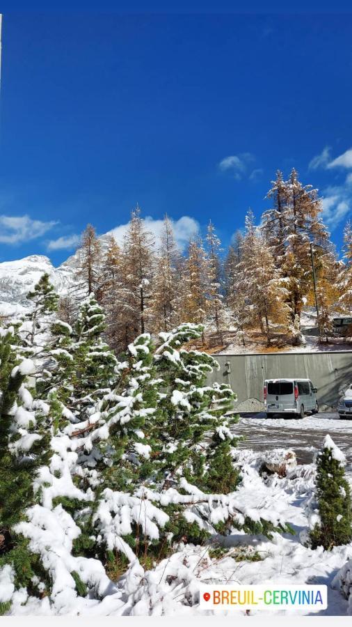 شقة Le Petit Refuge Cervinia بيريوِل تْشيرفينيا المظهر الخارجي الصورة